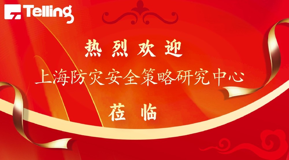 上海防災安全策略研究中心領導一行蒞臨我司參觀指導